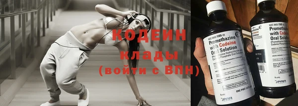 молекула духа Белоозёрский