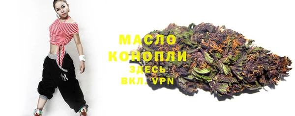 амф Пестово