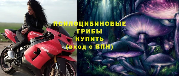 jwh Белокуриха