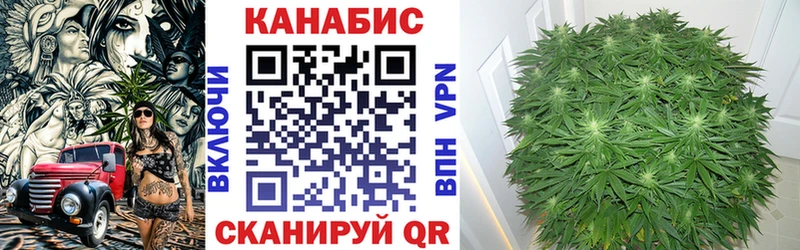 Каннабис White Widow  Суджа 
